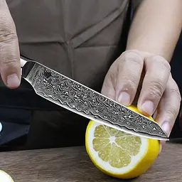 Ніж універсальний Damascus DK-EK 2007 VG-10 дамаська сталь 67 шарів лезо 12.5 см - мініатюра 4