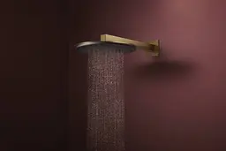 Верхній душ Hansgrohe Raindance Alive S 300 2jet EcoSmart з тримачем brushed bronze 24541140 - мініатюра 3