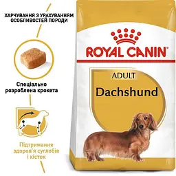 Сухий корм для дорослих собак породи Такса Royal Canin Dachshund Adult, 1,5 кг (3059015) - мініатюра 5
