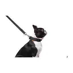 Повідець для собак Dog Extreme з нейлону подвійний Ш 20 мм Д 122 см чорний (42981) - мініатюра 7