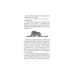Книга Маленький принц - Антуан де Сент-Екзюпері BookChef (9786175483008) - мініатюра 9