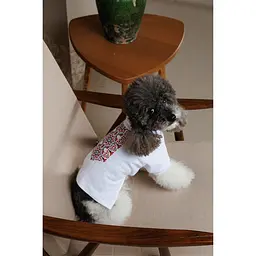 Футболка Pet Fashion Breeze для собак L - мініатюра 7
