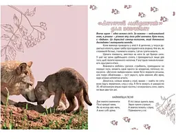 Вусохвості й лапокрилі. Читанка про тварин - Верховень В.М. (9789669359483) - мініатюра 5