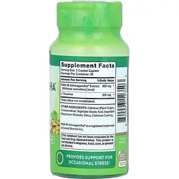 Ашваганда плюс L-Теанін KSM-66 Nature's Truth Ashwagandha Plus L-Theanine 600 мг 60 вегетаріанських капсул - мініатюра 2