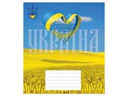 Зошит в клітинку МРІЇ ЗБУВАЮТЬСЯ 96 арк. 8 шт./уп. арт.3489к Україна