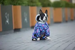 Комбінезон для собак Waudog Clothes, Рік та Морті 1, S40 - мініатюра 3