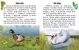 Читаю про Україну. Тварини річок та морів С366024У - мініатюра 3