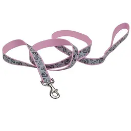 Coastal Lazer Brite Reflective Leash лазер брайт светоотражающий Повідець для собак 2.5см х 1.8м (SP46966_PNH06)