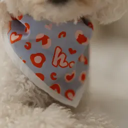 Набір бандана Hat-Dog + резинка (M) - мініатюра 7