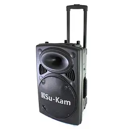 Колонка бездротова Сабвуфер Bluetooth FM Speaker Su-Kam BT-120D з 2 мікрофонами - мініатюра 12