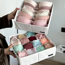 Набір органайзерів ORGANIZE  для білизни 2 шт (білий) - мініатюра 4
