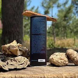 Комплекс рідких екстрактів Лісовик Gastro для травлення 30 мл - мініатюра 2