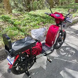Електроскутер Двомісний Crosser E-Delta (800W,60V,15Ah) Червоний - мініатюра 8