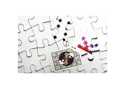 Карти гральні United States Playing Card Company JL Puzzle (limited edition) (ВР_КИДПЛЕ) - мініатюра 4