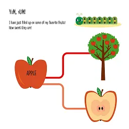 My First Book of the Vegetable Garden. Montessori: A World of Achievements - мініатюра 5
