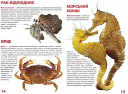 Велика книга Кристал Бук Мешканці морів та океанів (F00013014) - мініатюра 3