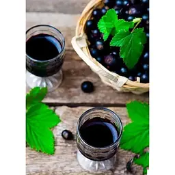 Саджанець Agro-Market Смородина чорна Бен Конан (Ben Connan) (ранній термін дозрівання, зимостійкий сорт) 1 шт. в упаковці (44816) - мініатюра 3