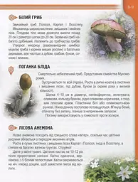 Енциклопедія для допитливих А5 : Рослини і тварини України (Українська ) - мініатюра 8
