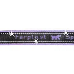 Нашийник для собак Ferplast Sport Dog C15/35 нейлон фіолетовий 1.5х25-35 см 78003819 - мініатюра 2