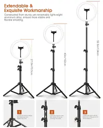 Кільцева лампа зі штативом Elegiant EGL-06 10" Чорно-біла Factory Recertified g5 - мініатюра 5