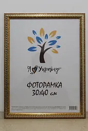 Фоторамка 30х40, золота зі срібною змійкою, 2416-261S, СКЛО + КАРТОН                                                                                                                                                     
