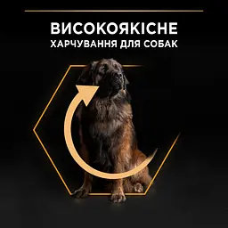 Сухий корм для дорослих собак великих порід Purina Pro Plan Large Robust Adult з куркою 14 кг (12375799) - мініатюра 6