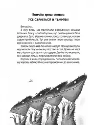 НЛО за селом - Наталія Бонь (R987009У) - мініатюра 8