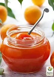 Саджанець Agro-Market Абрикос Шедевр (літній сорт, середній термін дозрівання) 1 шт. в упаковці (39861) - мініатюра 2