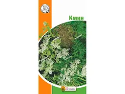 Кмин ЯСКРАВА (20 пачок) 2г