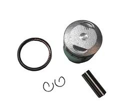 Delta 70 Поршень (у зборі) 0.75 (O47.75mm) SEE