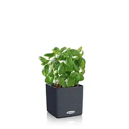 Вазон Lechuza Cube Color, 0.4 л, білий (13380) - мініатюра 8