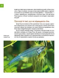 Тварини - майстри маскування. Енциклопедія для допитливих - Андрій Гапченко - мініатюра 10