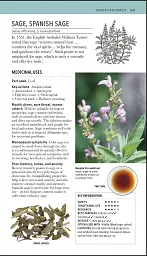 Herbal Remedies Handbook - Ендрю Шевал’є - мініатюра 6