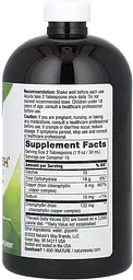 Хлорофіл Liquid Chlorophyll 480 мл Без смаку Nature's Way vit0004782 - мініатюра 2