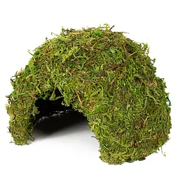 Схованка з моху Repti-Zoo Natural Mossy Dome M 14x10,5см ERS25M для тераріуму, рептилій і геконів, з живим мохом - мініатюра 2