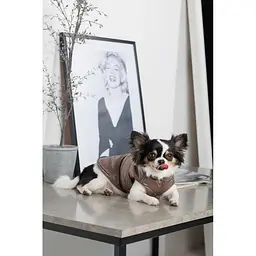 Жилет Pet Fashion Hardy для собак розмір L - мініатюра 7