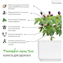 Змінний картридж Click & Grow Smart Garden Перець Чілі фіолетовий, 3 капсули (8745) - мініатюра 3