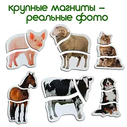 Набір магнітних пазлів Magdum Ферма (ML4031-19 EN) - мініатюра 6