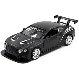 Автомодель TechnoDrive Bentley Continental GT3 250259 Чорний (6900007318648)