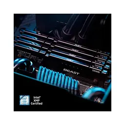 Модуль пам'яті для комп'ютера DDR5 64GB (2x32GB) 5600 MHz Fury Beast Black Kingston Fury (ex.HyperX) (KF556C36BBE2K2-64) - мініатюра 10