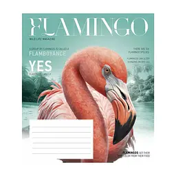 Зошит Школярик Fauna magazine 12 аркушів клітинка (012-3428K), в асортименті