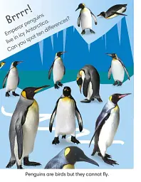 Spot the Difference Animals - мініатюра 4