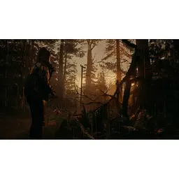 Гра Alan Wake II 2 (ваучер на скачування) (українські субтитри) (Xbox Series X S) - мініатюра 4