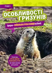 Шкряб! 100 цікавих фактів про гризунів - - мініатюра 5