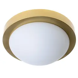 Світильник настінно-стельовий накладний Brille BR-02 253/2