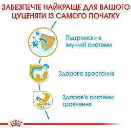 Сухий корм для цуценят породи Джек Рассел Тер'єр Royal Canin Jack Russell Puppy, 3 кг (21010301) - мініатюра 5