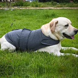 Заспокійливий жилет для собак WanTalk Dog Anxiety Jacket, Dark Grey - мініатюра 4