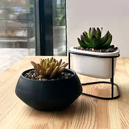 Горщик зі штучною рослиною МВМ My Home, 9 см, чорний (DH-FLOWERS-18 GREEN/BLACK) - мініатюра 5
