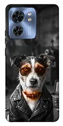 TPU чохол Demsky Jack rassel для Motorola Edge 40