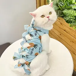 Одяг для котів після операції Holley Bow-knots Pineapple L